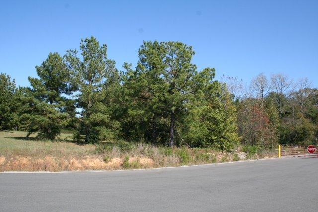 More Photos Of 2515 E Oak St, Conway Land For Sale