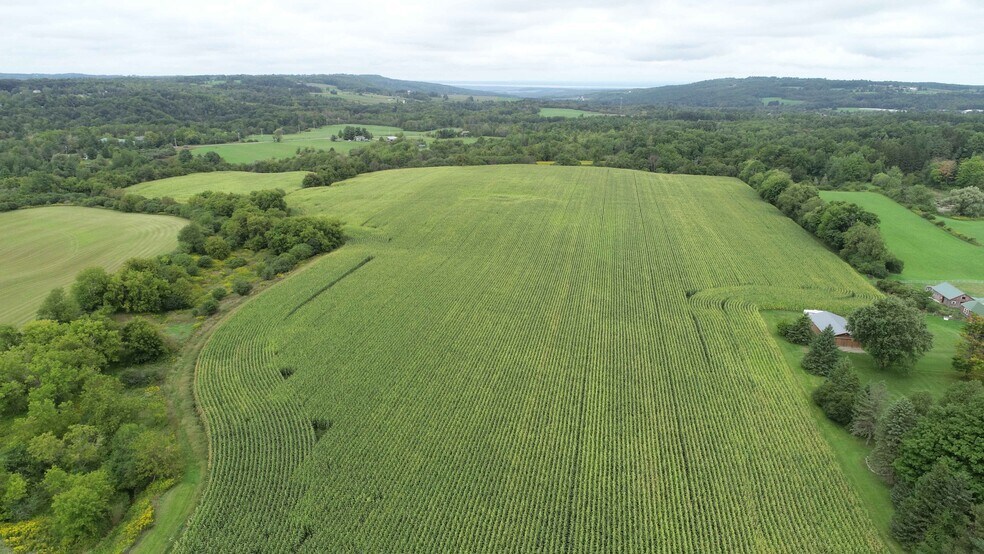 More Photos Of 2349 Fenner Rd, Cazenovia Land For Sale