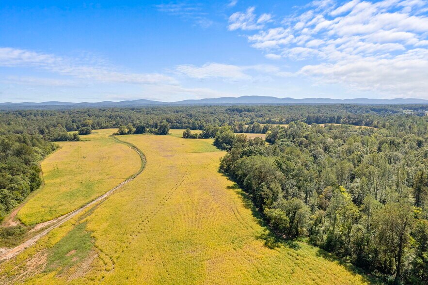 More Photos Of Moore Road @ Forest Lane, Ruckersville Land For Sale