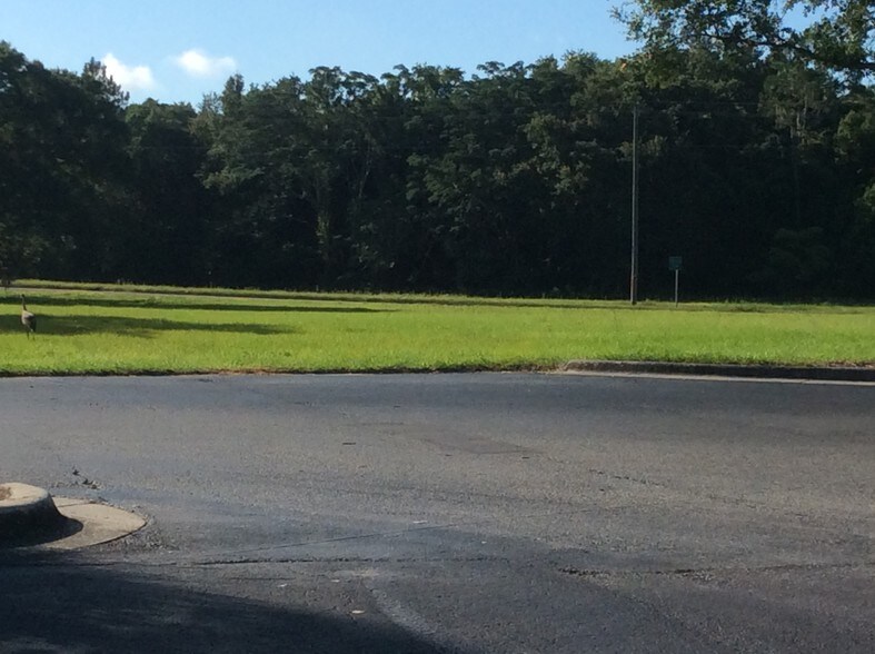 More Photos Of 8947 Old Temple Terrace Hwy, Temple Terrace Land For Sale