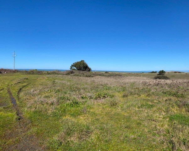 More Photos Of 1261 N Main St, Fort Bragg Land For Sale