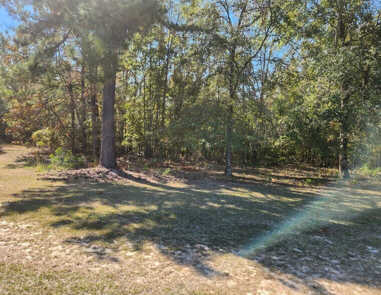 More Photos Of 184 Young Rd, Milledgeville Land For Sale