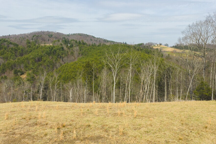 More Photos Of TBD Carsonville Road, Independence Land For Sale