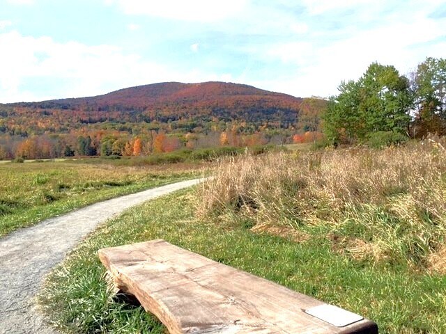 More Photos Of 218 NY-296, Windham Hotel For Sale