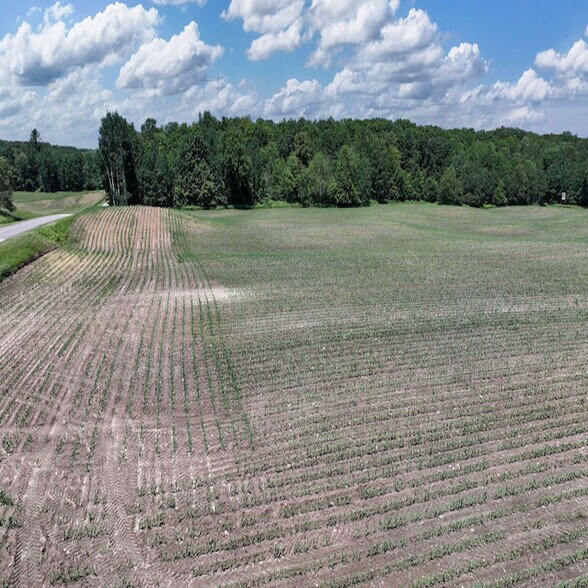 More Photos Of Fisher Road, Iola Land For Sale