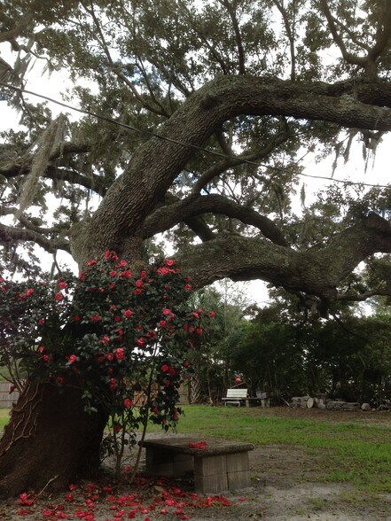 More Photos Of 2223 Kilmer Ln, Apopka Land For Sale