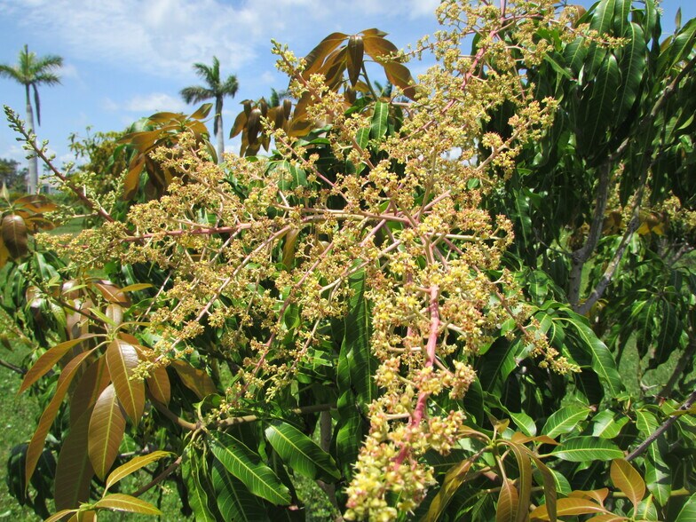 More Photos Of 9000 Stringfellow Rd, Saint James City Land For Sale