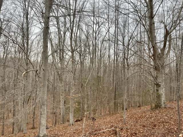 More Photos Of 7585 Mason Springs Rd, La Plata Land For Sale