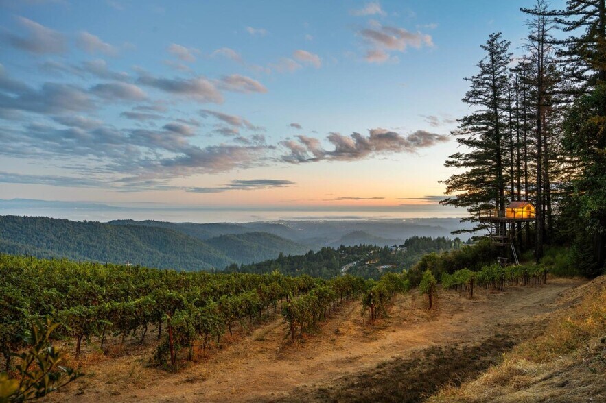 More Photos Of 25200 Loma Prieta Ave, Los Gatos Winery Vineyard For Sale