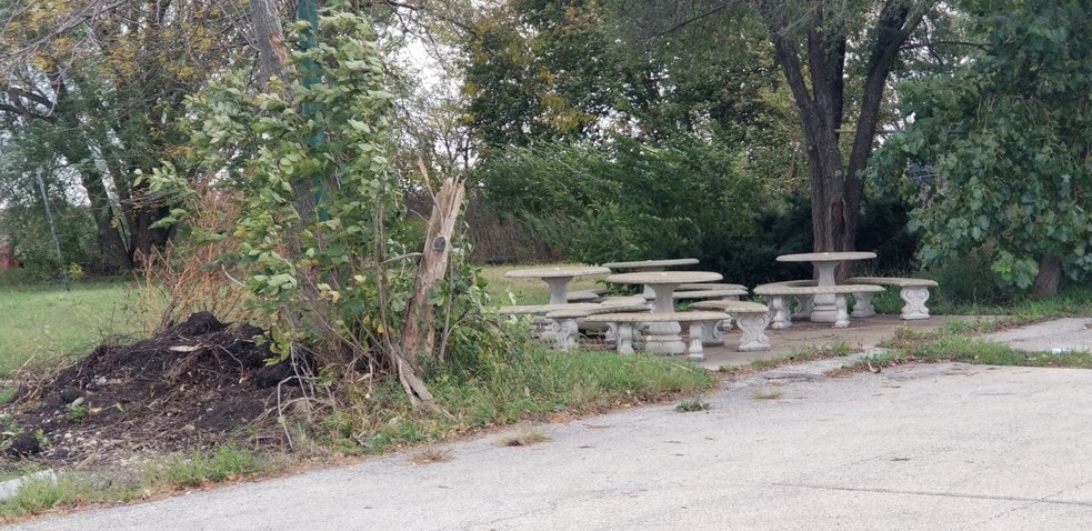 More Photos Of 900 N Union St, Dwight Restaurant For Sale