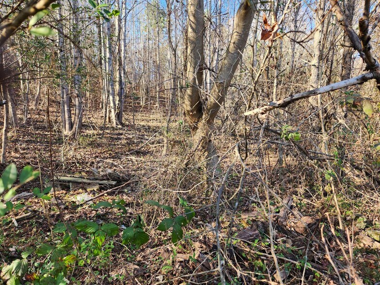 More Photos Of 1310 Mayflower Rd, Sale Creek Land For Sale