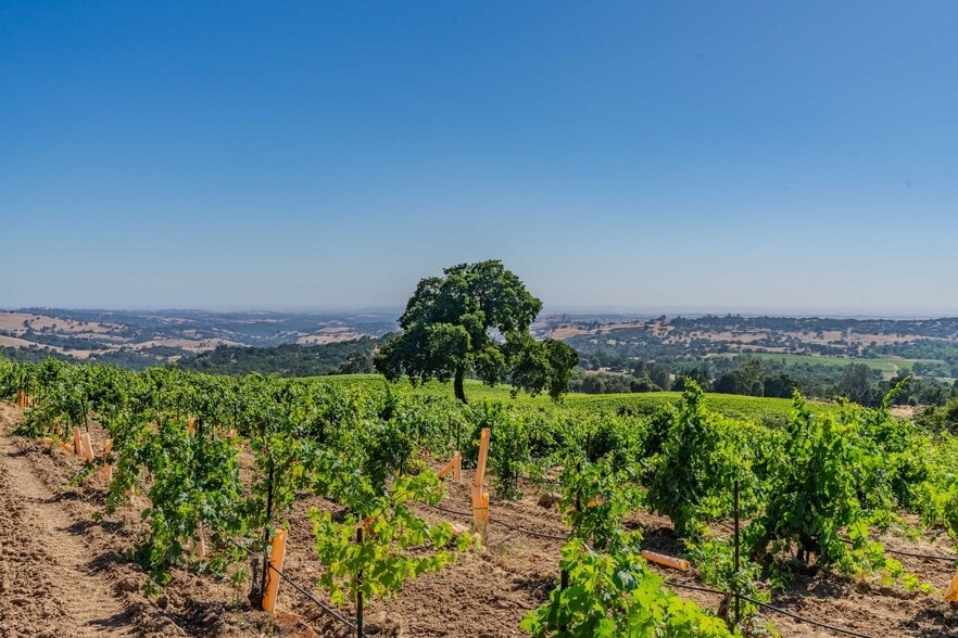 More Photos Of 18550 Silver Oak Ln, Plymouth Land For Sale