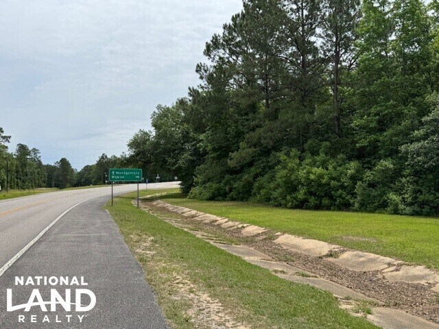 More Photos Of 0 Dead Lake Rd., Creola Land For Sale