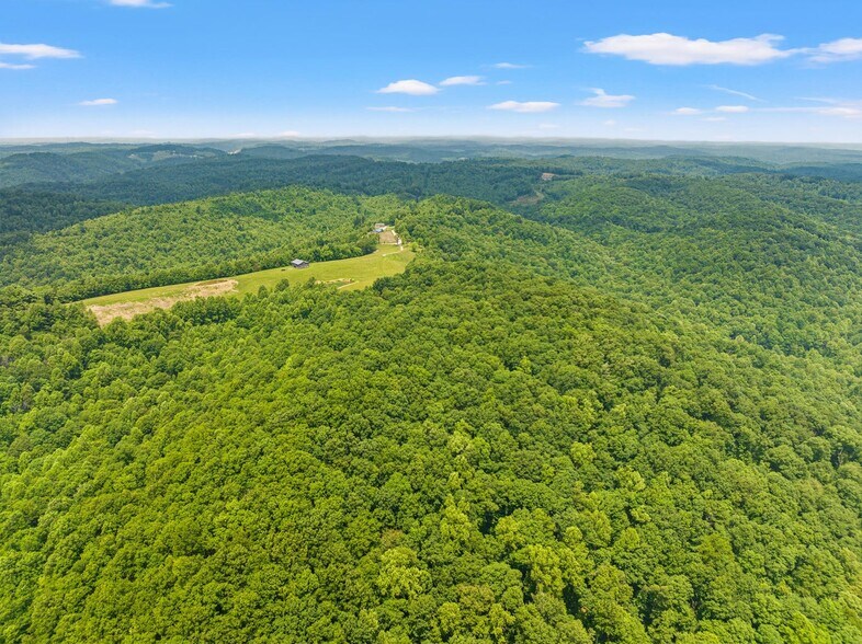 More Photos Of 1945 Pittman Branch Rd, Mount Vernon Land For Sale