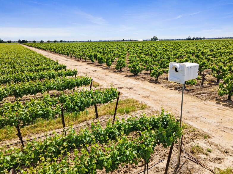 More Photos Of 3463 Peltier Rd., Acampo Land For Sale