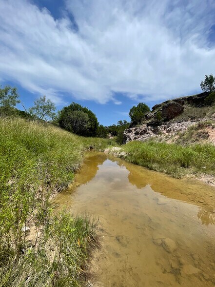 More Photos Of 221 W Rolling Oaks Dr, Goldthwaite Land For Sale