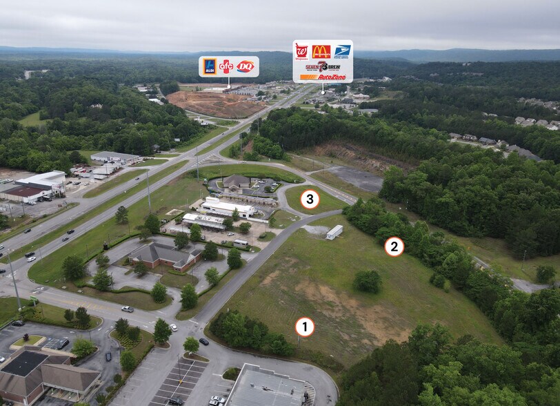 More Photos Of 75 Chelsea Pointe Dr, Chelsea Land For Lease