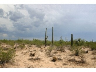 More Photos Of Cactus Forest Estates, Florence Land For Sale