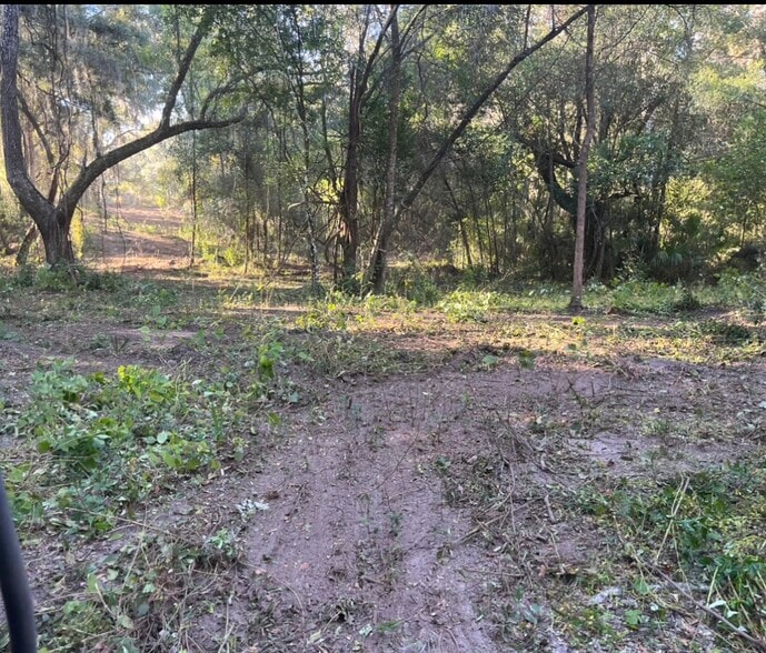 More Photos Of 785 & 935 N Independence Hwy, Inverness Land For Sale