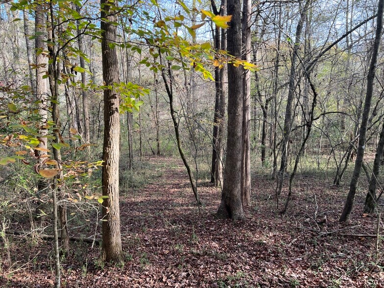 More Photos Of 0 Dickson Dr, Danielsville Land For Sale