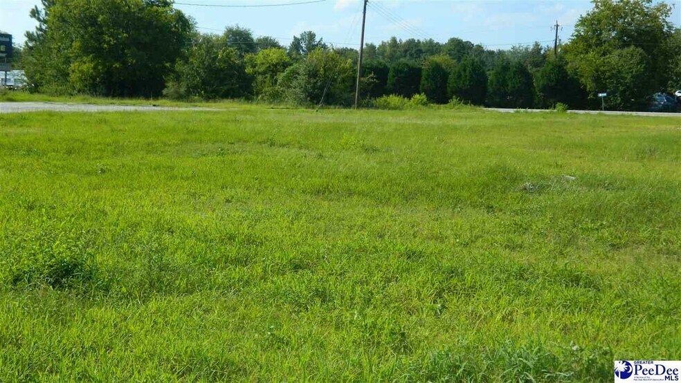 More Photos Of 4603 W Highway 76, Marion Land For Sale