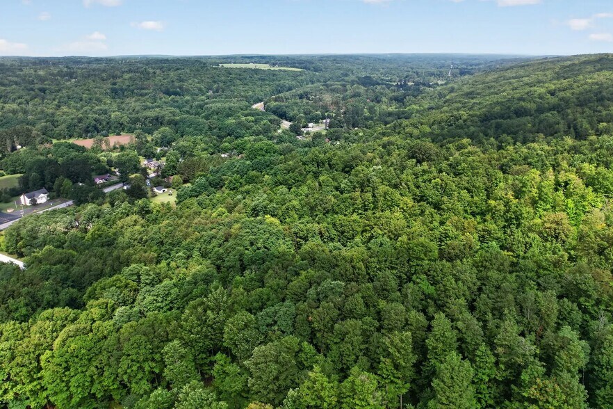More Photos Of Across from 6401 Olean rd, South Wales Land For Sale
