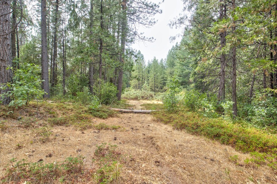 More Photos Of Mountain Dew Lane, Somerset Land For Sale