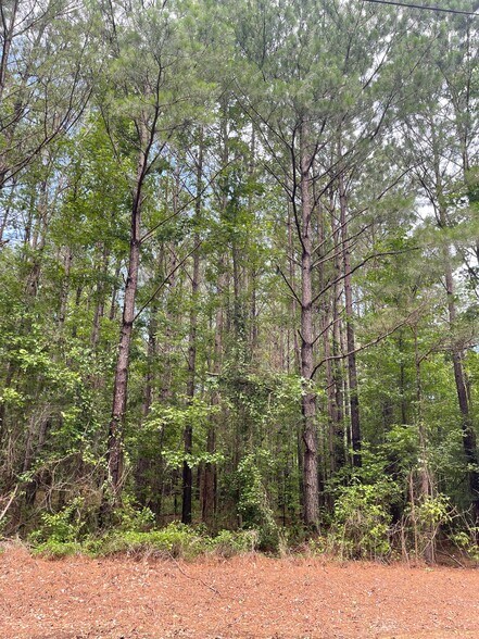 More Photos Of 17796 Dry Branch loop, Northport Land For Sale