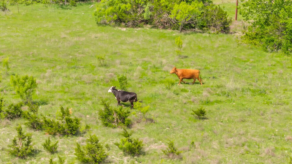 More Photos Of 8200 County Road 200, Burnet Land For Sale