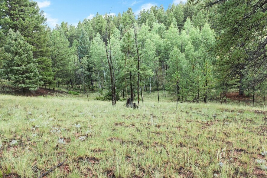 More Photos Of 131 & 67 Lost Lake Cir, Divide Land For Sale