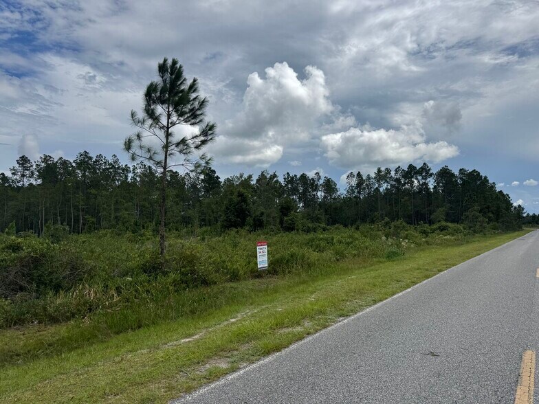 More Photos Of Noah Raulerson Road, Sanderson Land For Sale