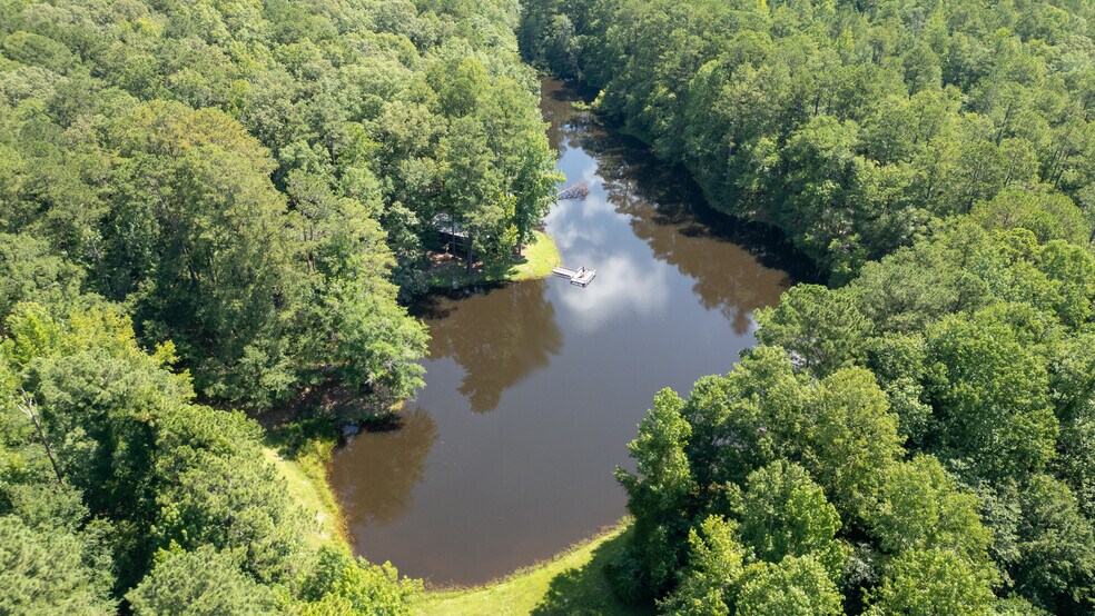 More Photos Of 17796 Dry Branch loop, Northport Land For Sale