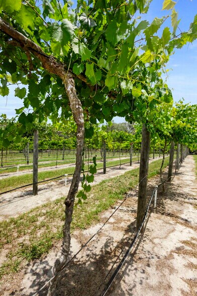 More Photos Of 1056 Reynolds Rd, De Leon Springs Specialty For Sale