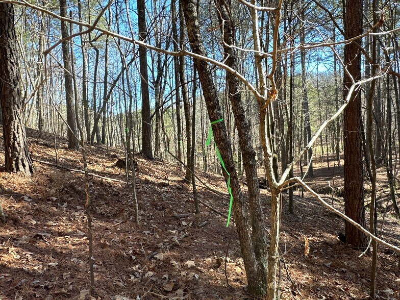More Photos Of 3472 Prior Station Rd, Cedartown Land For Sale