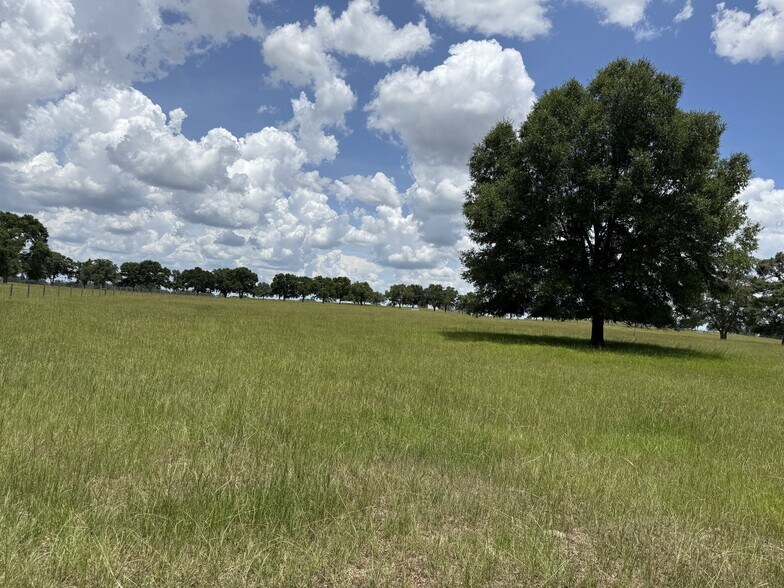 More Photos Of Highway 328 West, Dunnellon Land For Sale