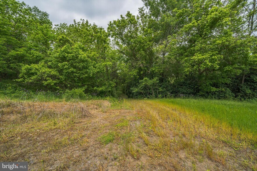 More Photos Of 895 Fishers rd, Maurertown Land For Sale