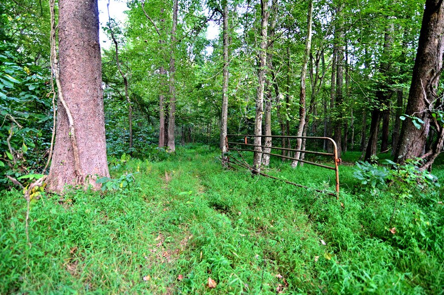 More Photos Of Cues Favorite @ La Plata Rd Route 488, Waldorf Land For Sale