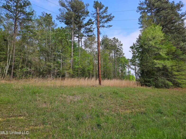 More Photos Of 0 Hwy 43, Silver Creek Land For Sale