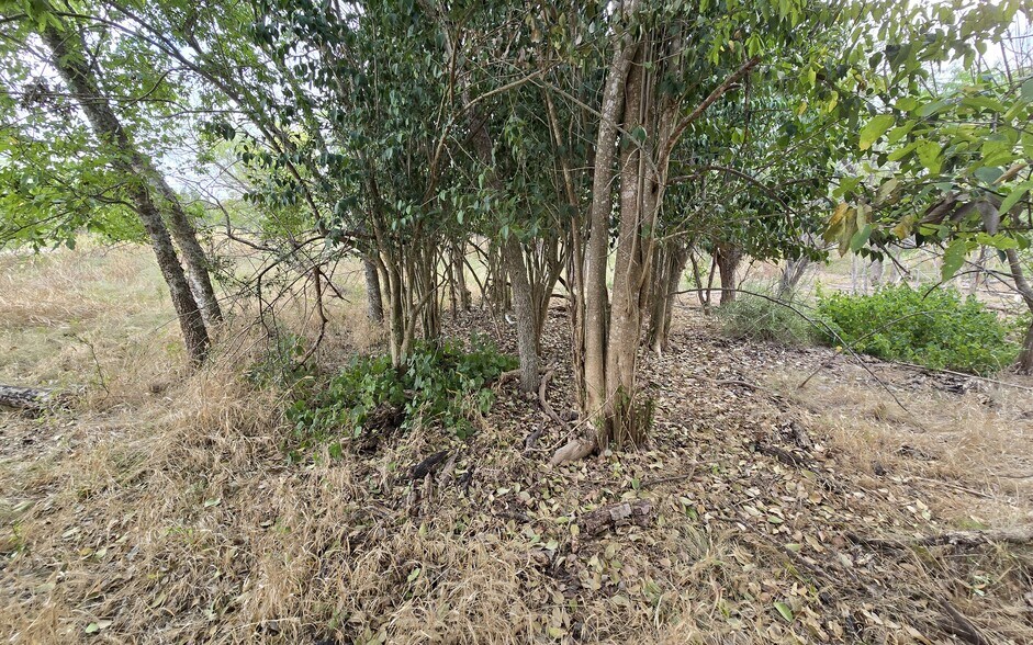 More Photos Of 301 Caney Creek rd, New Braunfels Land For Sale