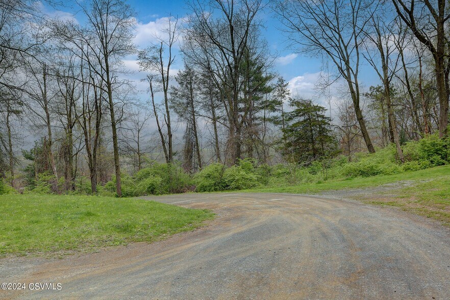 More Photos Of 242 Snyder Ln, Millmont Land For Sale