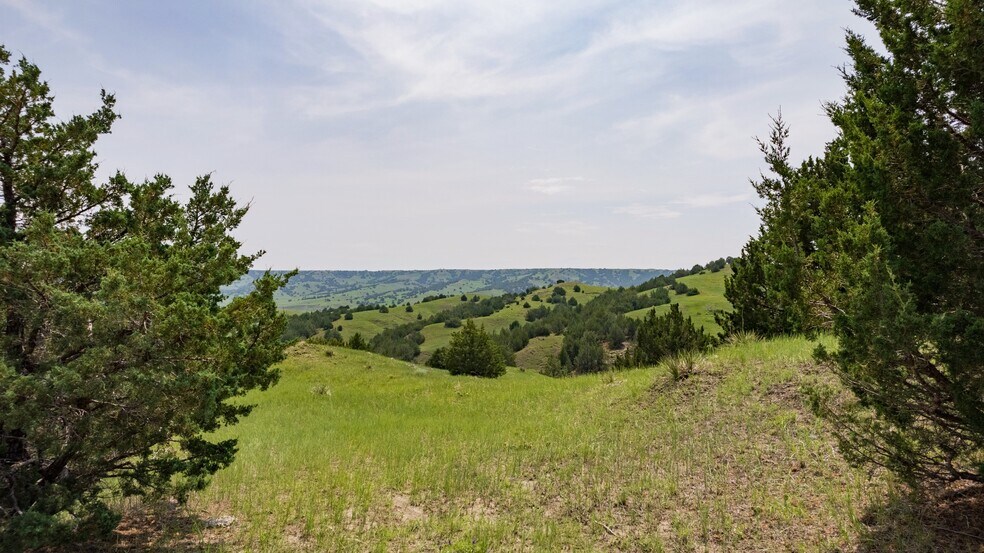 More Photos Of 21627 Hardingrove Rd, Milesville Land For Sale