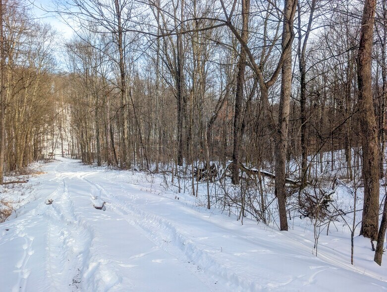 More Photos Of ,  Land For Sale