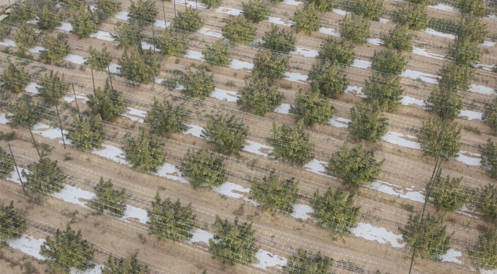 More Photos Of 8162 Maverick Ln, Ordway Land For Sale