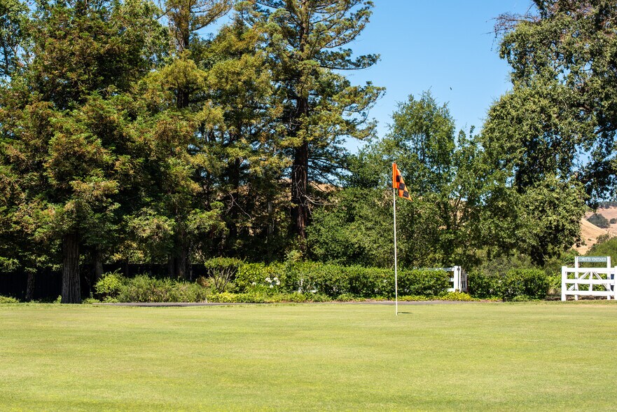 More Photos Of 1129 Dealy Ln, Napa Winery Vineyard For Sale