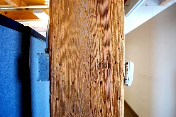 More Photos Of 700 N Sacramento Blvd, Chicago Loft Creative Space For Lease