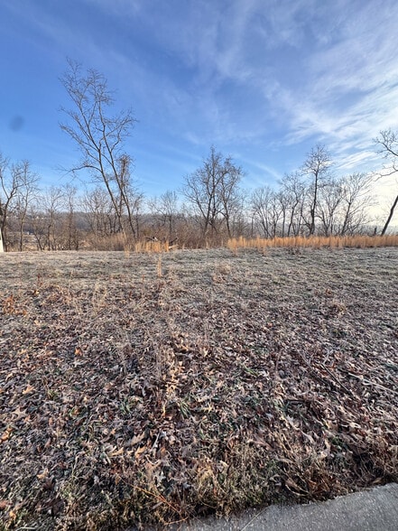 More Photos Of Willis Lane, Pea Ridge Land For Sale