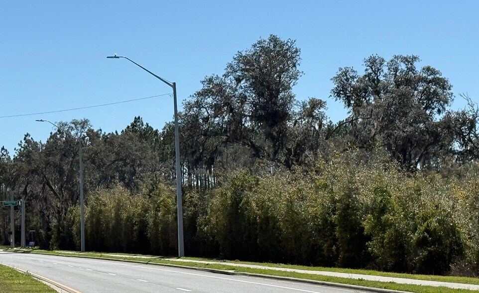 More Photos Of W US Highway 90 Hwy, Lake City Land For Sale