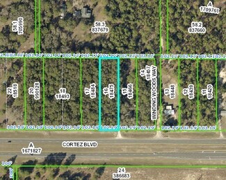 Primary Photo Of 0 Cortez Blvd, Weeki Wachee Land For Sale