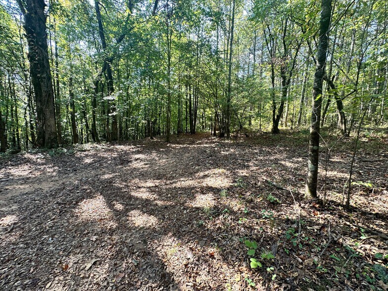 More Photos Of 7330 Frix Rd, Cumming Land For Sale