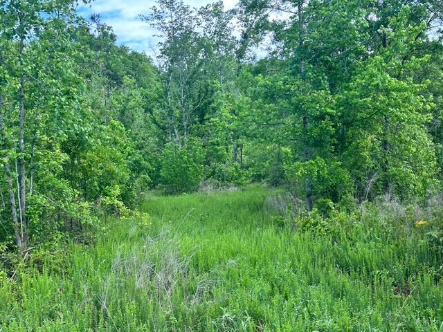 More Photos Of Satcher Road #4 Rd, Taylorsville Land For Sale